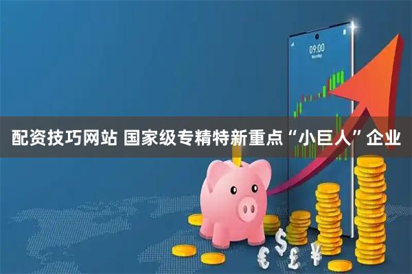配资技巧网站 国家级专精特新重点“小巨人”企业